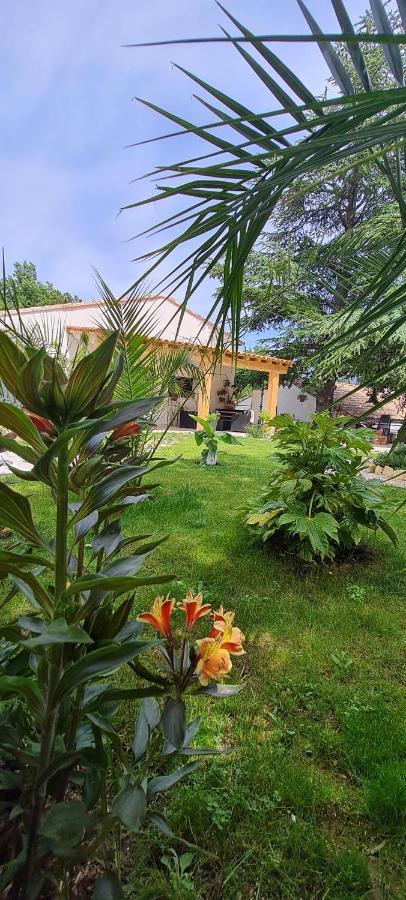 Gite Les 2 Cedres Villa Cardet Ngoại thất bức ảnh