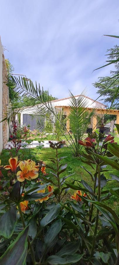 Gite Les 2 Cedres Villa Cardet Ngoại thất bức ảnh